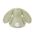 Clover Cottontail | Bunny