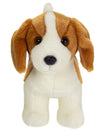 Benny | Beagle