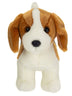 Benny | Beagle