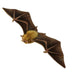 Ziggy | Orange Nectar Bat