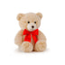 Little Theo Cuddlington Bear | Small
