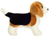Benny | Beagle
