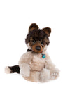 Middlebiggin from Charlie Bears Isabelle Collection, limited edition alpaca and mohair puppy, 36 cm, with sky-blue bell on collar