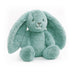 Banjo | Blue Bunny