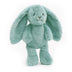 Banjo | Blue Bunny