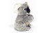 Chewy | Koala