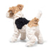 Foxy Fox Terrier Dog, Steiff
