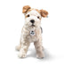Foxy Fox Terrier Dog, Steiff