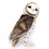 Barn Owl soft toy by Hansa with realistic detailing, lifelike markings, and natural plush textures