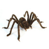 Hansa Huntsman Spider plush toy with lifelike markings, long legs, and realistic detail.
