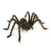 Hansa Huntsman Spider plush toy with lifelike markings, long legs, and realistic detail.