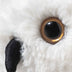 Hedwig Owl | Official Licensed