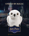 Hedwig Owl | Official Licensed