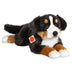 Large lying Bernese Mountain Dog plush soft toy by Teddy Hermann with black, brown and white fur