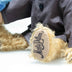 Steiff Monty Python Dead Parrot Limited Edition