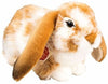 Ruby | Ram Rabbit