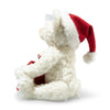 Santa Teddy bear with light | Limited Edition