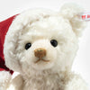 Santa Teddy bear with light | Limited Edition