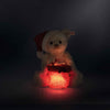 Santa Teddy bear with light | Limited Edition