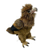 Small Hansa Wedge-tailed Eagle plush toy with lifelike detailing and handcrafted feathers