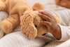 Lumpi | Steiff floppy dog