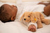 Lumpi | Steiff floppy dog