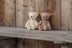 Thommy Teddy | Small