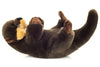 Bruno | Otter