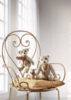 Steiff Club edition Florian Teddy bear