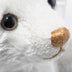 Steiff White Club Bear 2023