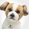 Terrie Dog