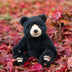 Winnipeg | 100 Year Anniversary, Winnie the Pooh, Limited Edition